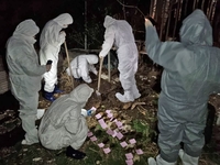 경기도,  이번엔 광주 농장서 개사체 8마리 발견 수사 중