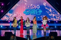 진해군항제에 이효리·보아 떴다! ‘댄스가수유랑단’ 게릴라 콘서트