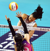 기적의 ‘대역전극’ 0% 확률 뚫고 역스윕 첫 역사 남겼다…너무 강한 언니들, 도로공사 V2 달성[SS현장]