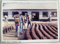 부산시, 과거 집단수용시설 신고접수 개시