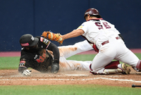 [포토]홈에서 3루 주자 알포드를 잡아내는 이지영