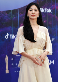 [포토]‘그윽한 눈빛’ 백상예술대상 송혜교