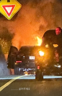 “살려주세요” 첫 美 여행간 故 최진실 딸 최준희... 무슨 일?