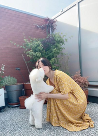 송혜교, 수수한 노랑 원피스도 찰떡..청순 미모가 다했네