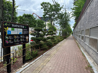 완주군, 자녀안심 그린숲 조성 완료