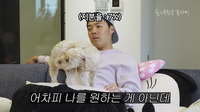 조카한테 질투하는 강남 “구독자 80만 되면 ♥이상화한테 채널 줄 것” 공약