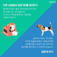 목포시, ‘펫티켓’..아름다운 반려견 문화 집중 홍보