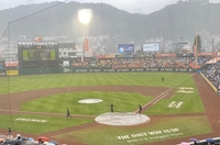 김태연 투런포 후 내리기 시작한 비, 갑자기 폭우로 바뀌며 경기 중단[SS대전in]