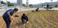[포토]국토정중앙면, 아름다운 ‘양구가꾸기’ 화단조성