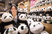 “판다 가족 인기 덕에~” 에버랜드, ‘푸바오’ 이모티콘·굿즈도 역주행