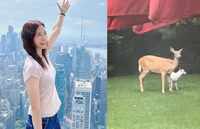 ‘권상우♥’ 손태영 美 자택 마당에는 사슴이 뛰어논다.. 알비노 흰 사슴까지