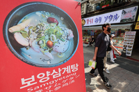 초복이 코앞인데…닭고기 가격 고공행진