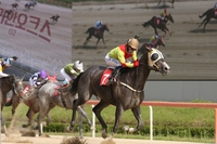 경기도지사배 개최, 2년 연속 ‘트리플 티아라’ 탄생하나?