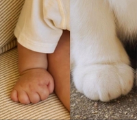 ‘현빈♥’ 알콩맘 손예진, 子 손은 강아지 앞발 재질.. “너무 귀여워”