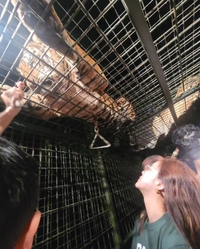 진짜 문제는 ‘동물권 감수성’ 부족! 황정음, 사자 영상 삭제 해명 불구 비난 폭주