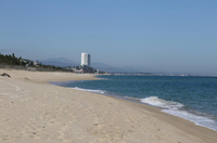 강릉시, 여름밤 아름다운 송정해변·해송에서 즐기는 음악 대잔치