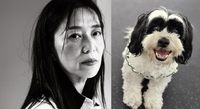 ‘이효리 절친’ 장필순 반려견 사망…애견호텔서 솜이불 뒤덮여 열사병