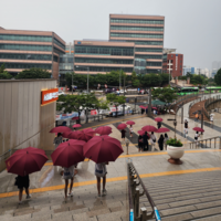 갑작스런 폭우에 꽁꽁 묶인 발…키움, 팬들에 장우산 2000개 배부 [SS고척in]