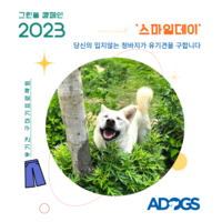 손예진 수지 공효진 김우빈 강다니엘, 청바지 기부로 유기견 구하기 동참...그린볼 캠페인,‘스마일데이’