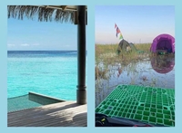 국제적 조롱거리 된 새만금 잼버리, 밈(풍자) 게시물 확산