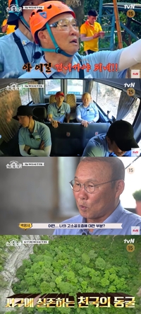 천하의 박항서가 고소공포증? 4층 높이 고공훈련에 탄식 (손둥동굴)