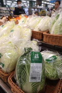 농식품부 “여름철 주요 원예농산물 가격 안정세 유지”…고온·태풍이 변수