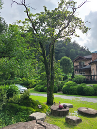 평창읍, 아름다운 정원 시상 및 전시회 개최