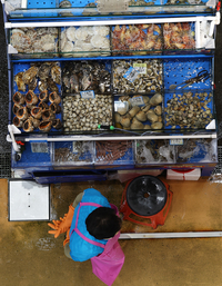 후쿠시마 오염수 내일부터 방류…하루에 460t 오염수 방류된다