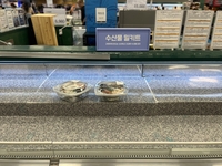 日오염수 방류 나흘째, 대형마트 ‘인파 북적’…소비심리 ‘이상무’