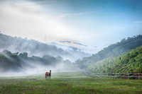 말박물관 심대섭 작가 초대전 ‘낙원’ 개최