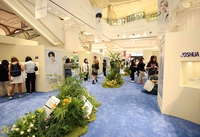 신세계백화점 강남점서 세븐틴 팝업 개최…멤버들 취향 담긴 굿즈 판매