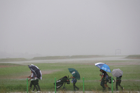 전남 강타한 폭우에 KPGA 코리안투어 비즈플레이 전자신문 오픈 36홀로 축소…18일 예비일 지정, 상금은 75%만