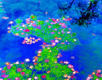 ‘자연’과 늦바람 난 패션사진 대가...김문권 전시회 26일부터