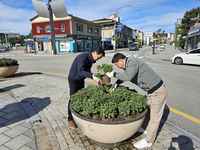 평창군 대관령면, 청정(Clean) 뷰(View) 아름다운 대관령 만들기 추진