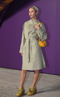 [포토] 영국 모델 아이리스 로우 '명품 포즈'