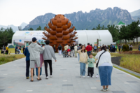 2023강원세계산림엑스포 ‘포토존 사진찍기’ 좋아요!