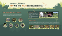제주 민속자연사박물관, ‘꼬맹이들의 친구, 맹꽁이를 만나다’ 테마 전시
