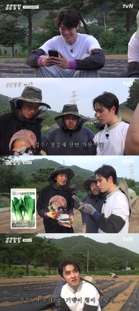 ‘콩콩팥팥’ 도경수→김우빈 “수박씨 싹났어” 발동동 환호, 고라니 경계 CCTV 설치까지 완료