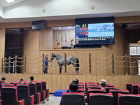 올해 첫 1세마 경매, 1억3천 낙찰 말 탄생