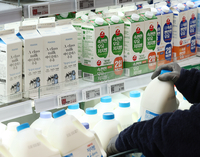 정부, 28개 농식품 품목 가격 ‘매일 점검’