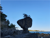 강원고성군, 국가지질공원 노후 산책로 전면 정비