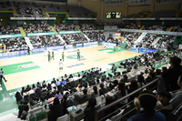 프로농구 흥행 청신호, 1라운드 관중 12% 입장수익 26% 증가