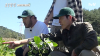 김우빈→도경수, 최애 작물 직관에 인증샷까지…그렇게 농사꾼이 된다(콩콩팥팥)[SS리뷰]