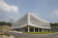 춘천시립도서관,  11월 「슈퍼거북」‘유설화’ 그림책 작가 초청