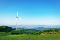대명아임레디, ‘삼양라운드힐’과 멤버십 제휴···입장권 할인