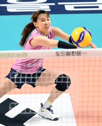 [포토]서브 리시브 하는 GS칼텍스 한다혜