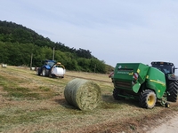 전남도, 조사료 공모사업 국비 30억 확보