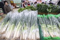 대파 가격 연속 고공행진…“지난해보다 48.5% 비싸”