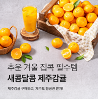 hy, 프레시 매니저가 직접 추천한다!···‘제주 타이벡감귤’