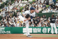 “혹시 하고 올해 초부터 봤다” LG 외인 구성 완료, 역대급 투수난에서 건강한 왼손 파이어볼러 얻었다[SS포커스]